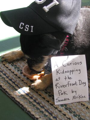 cover image of A Curious Kidnapping at the Riverfront Dog Park